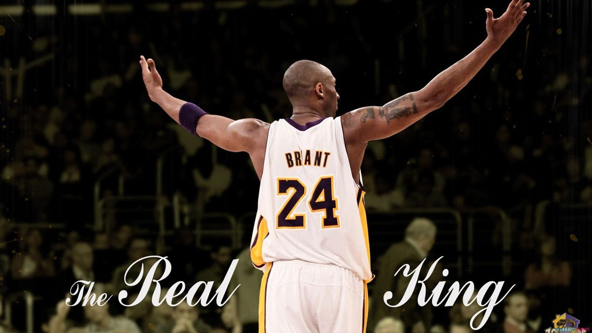 体育新闻中心启动体育数字人才培养计划,数字体育产业