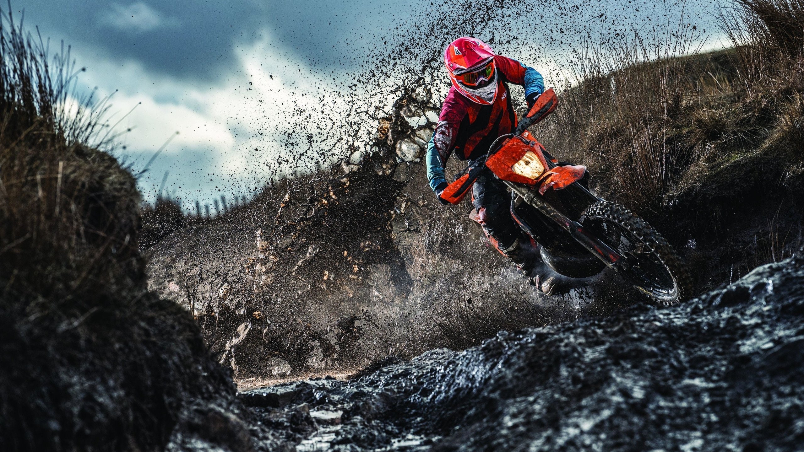 加拿大队赛制透视：如何在赛制中提升每一位球员的表现，加拿大队队员