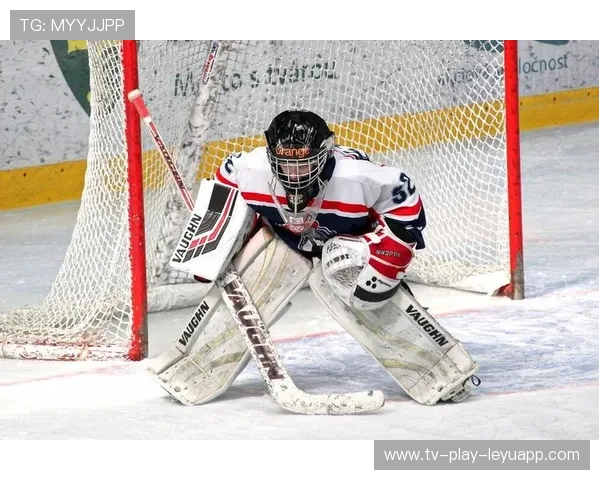 曲棍球守门员装甲太重跌倒爬不起来