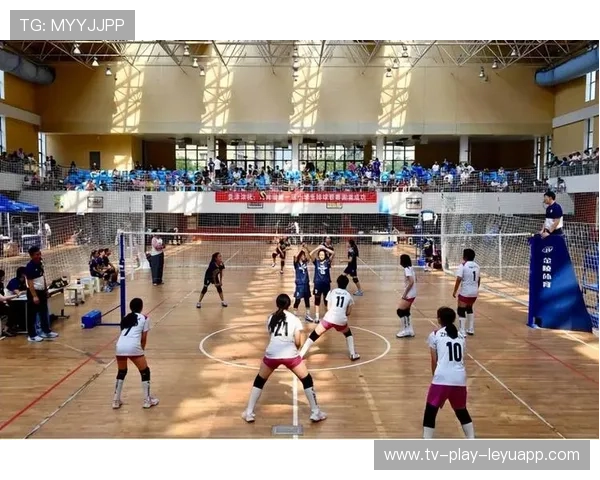 女子排球：国际赛场中国队强势出击，继续赢得荣誉！，女子排球国家队