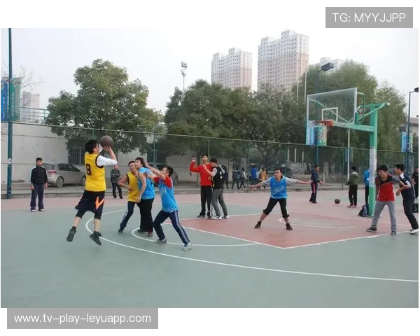 篮球在中国大学研究性课程中的项目化教学实践,篮球研究内容 篮球在中国大学研究性课程中的项目化教学实践,篮球研究内容